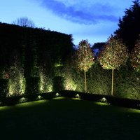 Tuin met LED verlichting spreken - LEDshop Groenovatie