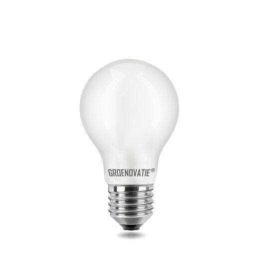 E27 LED Filament lamp 6W - LED Edison kopen